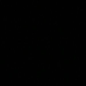 Meet your Posher, Kira